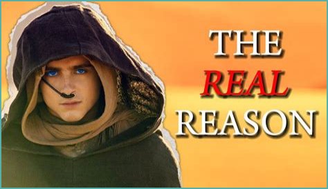 Why is Paul called Muad Dib?